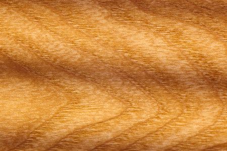 Beautiful natural texture of polished wood with distinct grain patterns under warm light in a studio settingの写真素材