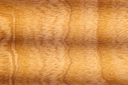 Beautiful natural texture of polished wood with distinct grain patterns under warm light in a studio settingの写真素材