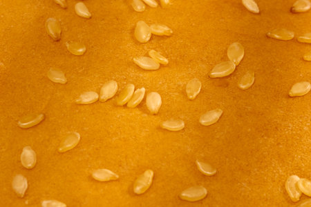 Texture of a freshly baked hamburger bun showcasing golden color and scattered sesame seeds on a soft surfaceの写真素材