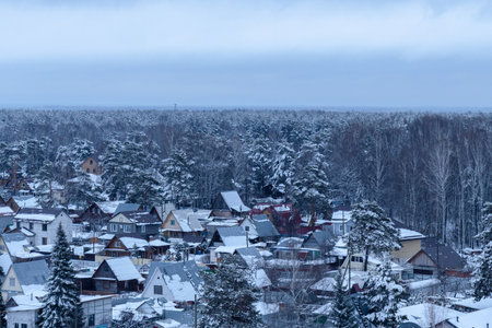 Snow-covered forest landscape under gray sky viewed from an elevated position during winterの写真素材