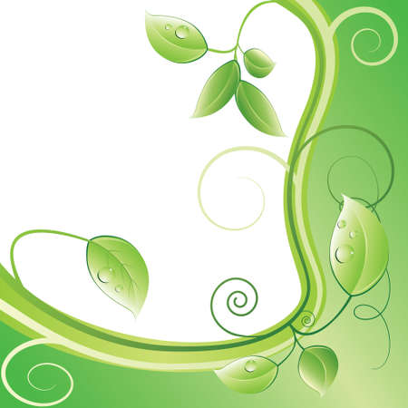 Green branch with leaves and drops.のイラスト素材