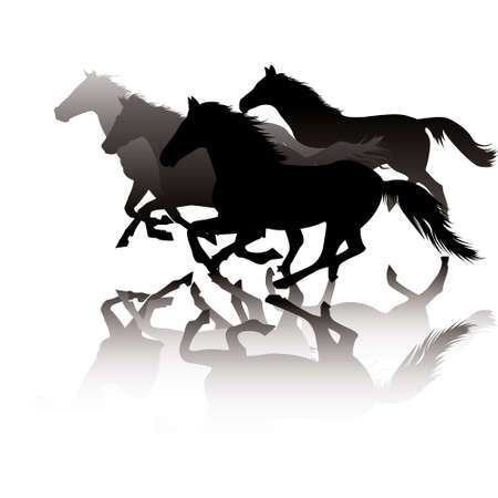 Horses in gallop against whiteのイラスト素材