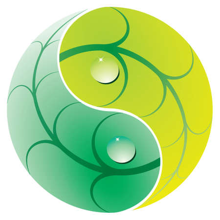 Jin Jan Leaves with water drops against white backgroundのイラスト素材