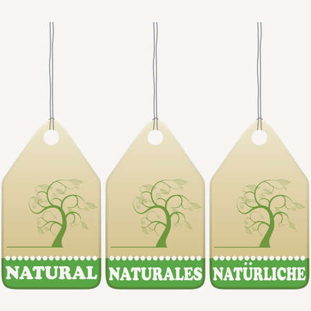 Recycling tags signs. English, Spanish, German inscribed.のイラスト素材