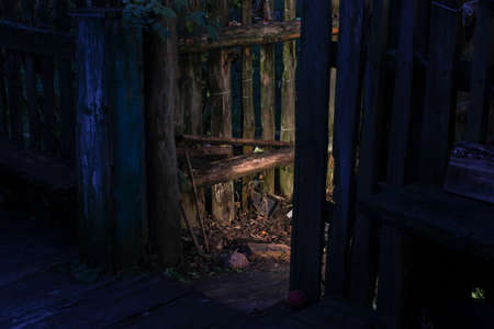 the fence in the village of illuminatedの写真素材