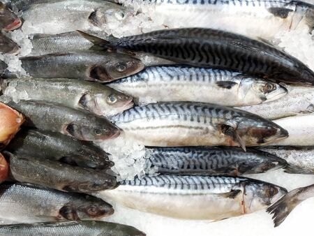 Fresh chilled fish on the counter sprinkled with iceの写真素材