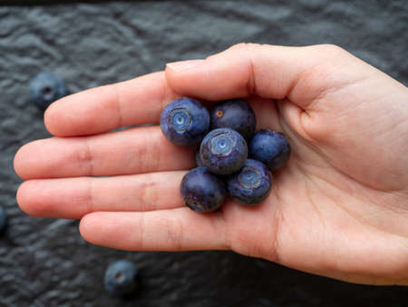 in the female palm are berries of fresh ripe juicy blueberries. Black textured background