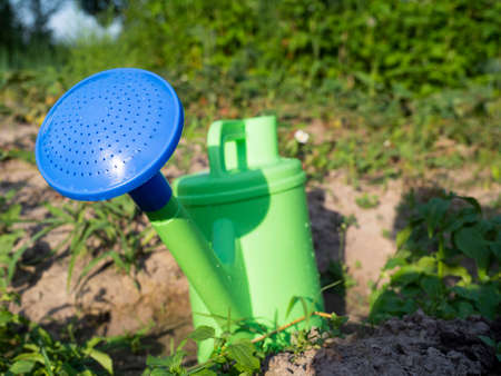 Close-up of a plastic green watering can with a blue spout standing on the ground in the garden. The concept of agriculture and horticultureの写真素材