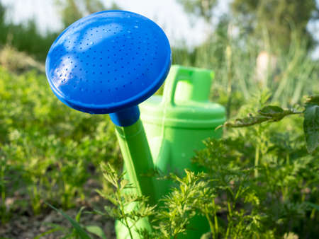 Close-up of a plastic green watering can with a blue spout standing on the ground in the garden. The concept of agriculture and horticultureの写真素材