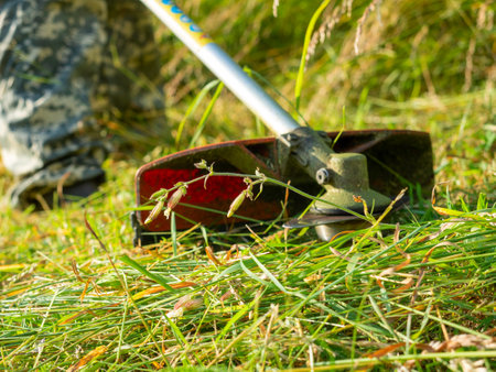 Close-up of a trimmer with a knife nozzle on. Mowing grass in summer. View from the ground. Selective focusの写真素材