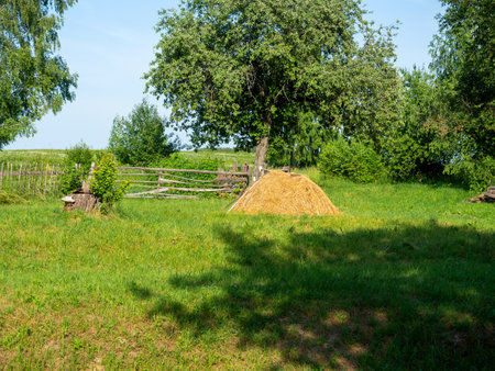 Summer rural landscape. Green glade, yellow village stack, old wooden fenceの写真素材