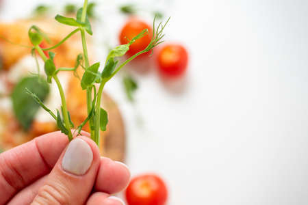 Close-up of a hand holding a sprig of micro-greenery. There is a blurry outline of pizza in the background. white background. Healthy greensの写真素材