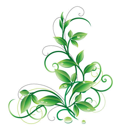 Abstract floral background. Element for design.のイラスト素材