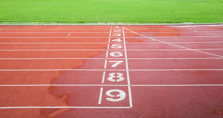 Treadmill Sports
