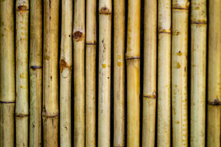 bamboo wall texture background., close up.の写真素材
