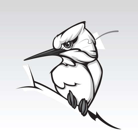 Humming bird design on white background.のイラスト素材