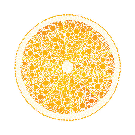 Orange fruit slice in circle shape. Vector illustration isolated on white background.のイラスト素材