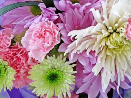   bouquet of flowers                             の写真素材