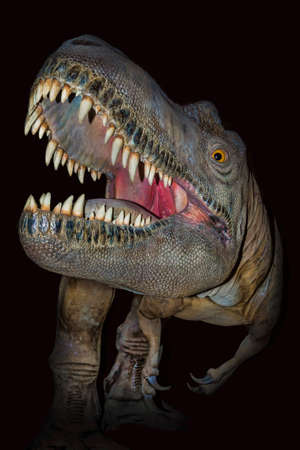 One of the many dinosaur display at the Tyrrell Museum in Drumheller. Shot illuminated with flash technique.のeditorial素材