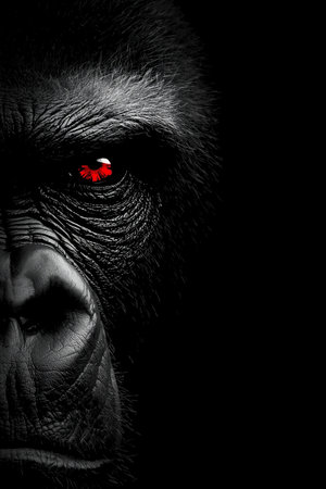 Portrait of a gorilla with a red eye on a black background