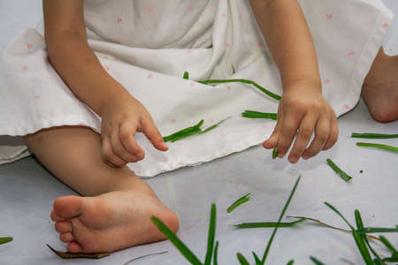 Child playing with grassの写真素材
