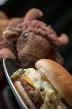 Burger with onion and jalapeoの写真素材