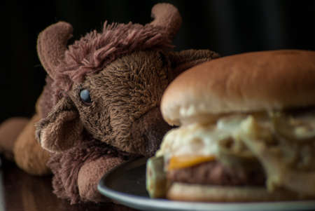 Burger with onion and jalapeoの写真素材