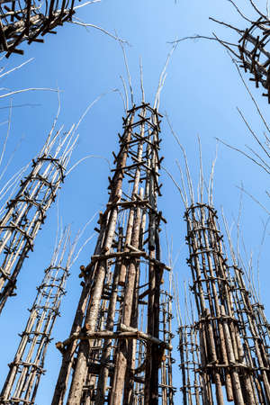 The Vegetable Cathedral in Lodi, Italy, made up 108 wooden columns among which an oak tree has been planted. Over the years it will give the sense of a gothic cathedralの写真素材
