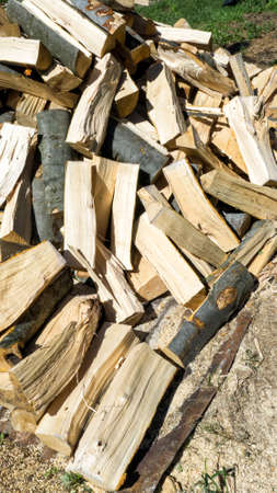 Cutted woodの写真素材