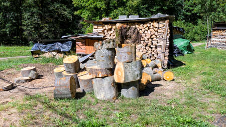 Stacked wood cutの写真素材