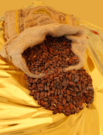 Cocoa beans in a jute sackの写真素材