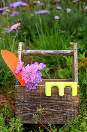 Tool box and garden tools in a flower garden.の写真素材