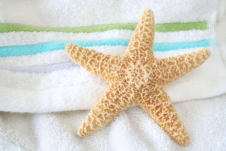 Starfish on a terry cloth towel with blue and green stripes.の写真素材