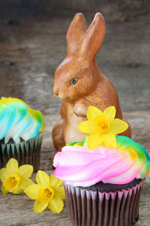Cupcakes with pastel colored icing surrounded by fresh daffodils and a fake bunny rabbit.の写真素材