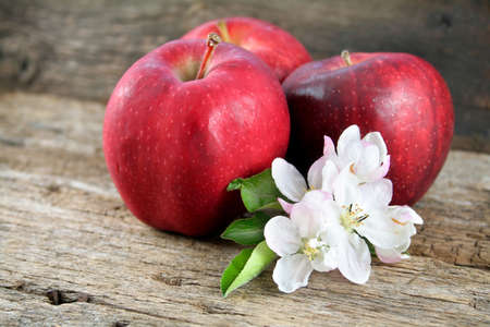 Apple blooms and three red apples in the background.  Shot using a shallow depth of field with focus on the blooms.の写真素材