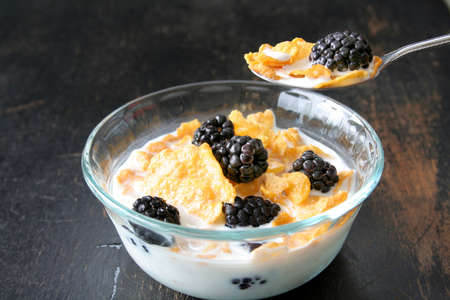Bowl of cereal with fresh blackberries.の写真素材