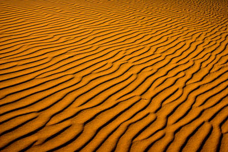 Ripples of sand in Sossusvlei, Namib Desert, Namibiaの写真素材