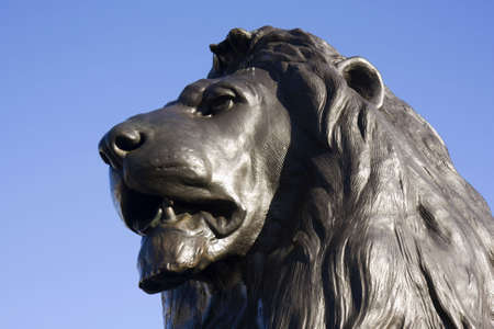 Close up of a bronze lion head at Trafalgar Square, London, England の写真素材