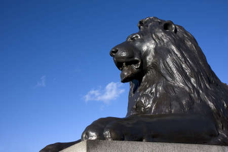Close up of one of the bronze lions at Trafalgar Square, London, England.の写真素材