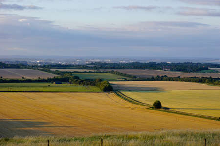 A view over agricultural fields towards the large town of Swindon in the evening sun with long shadowsの写真素材