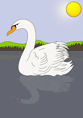 Illustration of a swanの写真素材