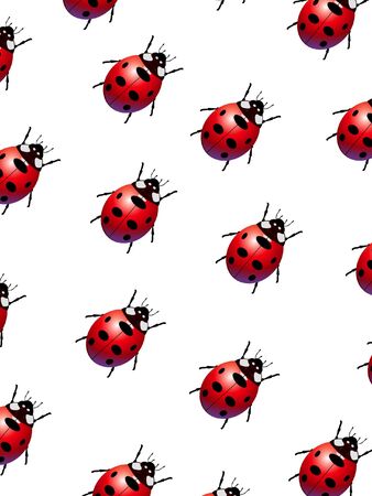 Illustrated Ladybird bugs crawling across a white background の写真素材