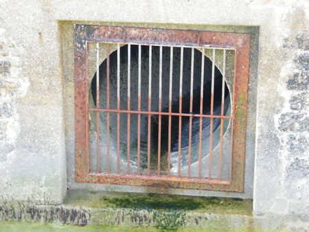 waste pipeの写真素材