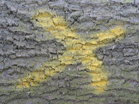 logging markの写真素材