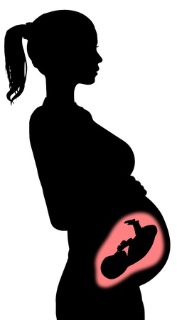 Illustration of pregnant woman showing the baby insideの写真素材