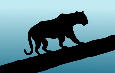 Illustration of a panther walking across a tree branchの写真素材