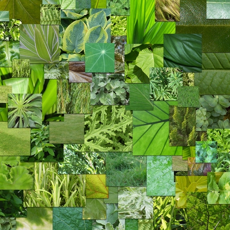 mosaic of many green textures made of leaves, grass and other plantsの写真素材