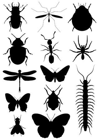 Illustration of ten insects isolated on whiteの写真素材