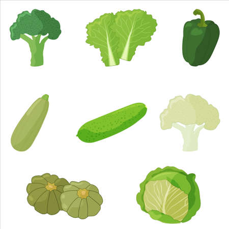Set of green vegetables. Zucchini, broccoli, lettuce, cabbage, cauliflower, cucumber.のイラスト素材