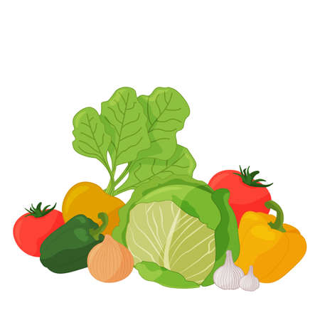 Set of vegetables on a white background, harvest.のイラスト素材